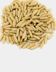 Pine Nut Kernels (Chilgoza Without Shell) | Premium Himalayan Crop Class 1 Grade