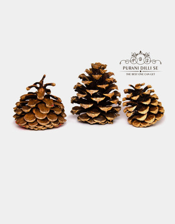 Pine Seeds/Nuts – Unshelled (Chilgoza) | Premium Himalayan Class 1 Grade